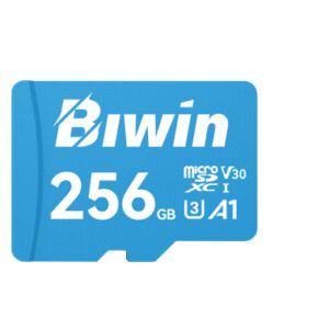 BIWIN MS100-256G microSD3.0 Read & Write Speed up to 100MB/s & 50MB/s BMMS100256