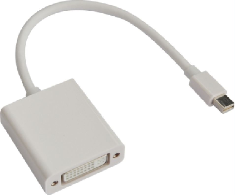 Astrotek Mini DisplayPort DP to DVI Cable 20cm - 20 pins Male to 24+5 pins Femal