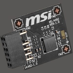 MSI TPM 2.0 Module (MS-4462) SPI Interface