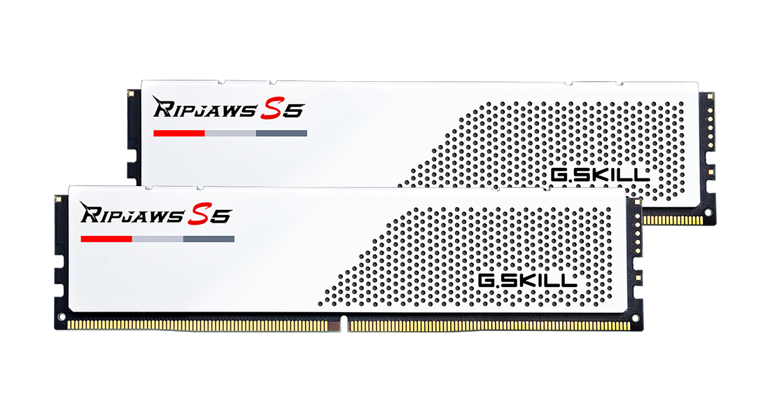(LS)G.SKILL F5-5200J3636C16GX2-RS5W 32GB (2 x 16GB)/ DDR5 5200 MT/s/ Timings 36-