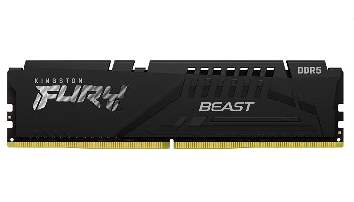 Kingston 16GB (1x16GB) DDR5 UDIMM 5600MHz CL40 FURY Beast Black XMP Gaming PC De