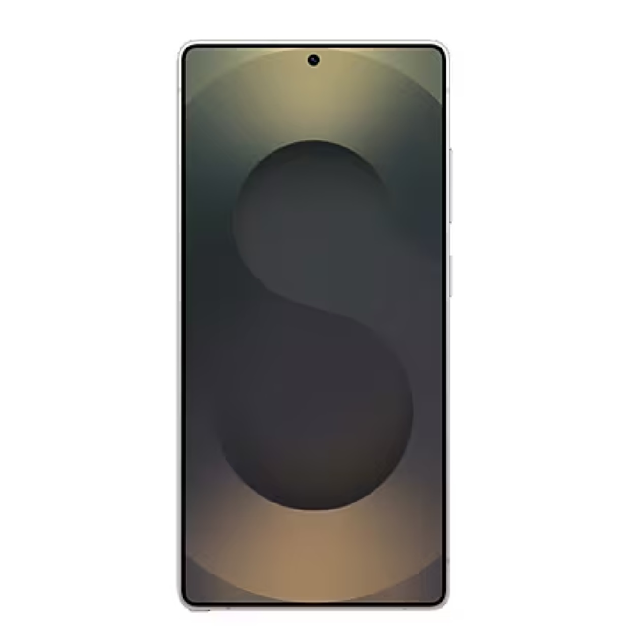 12GB/256GB