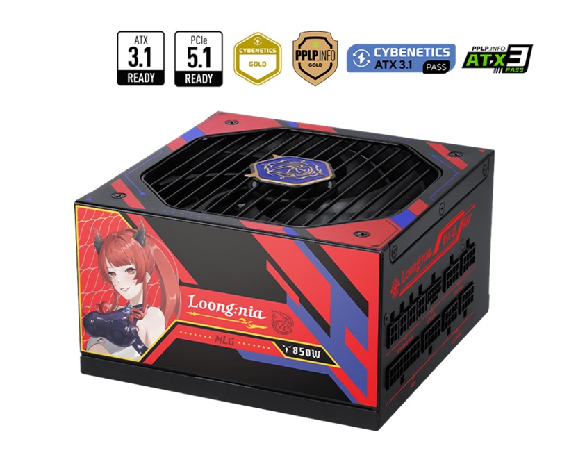 Gold Fully Modular Silent Power Supply MLG Edition