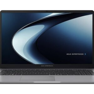 Asus ExpertBook P1
