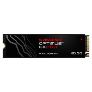 SanDisk Optimus GX PRO 8100 1TB NVMe M.2 2280 SSD with Heatsink