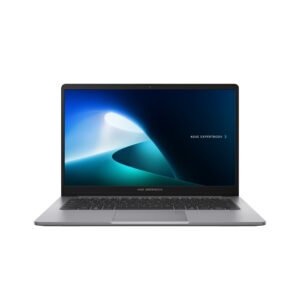 Asus ExpertBook P1